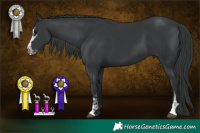 Horse Color:Black Sabino  and Black Sabino 