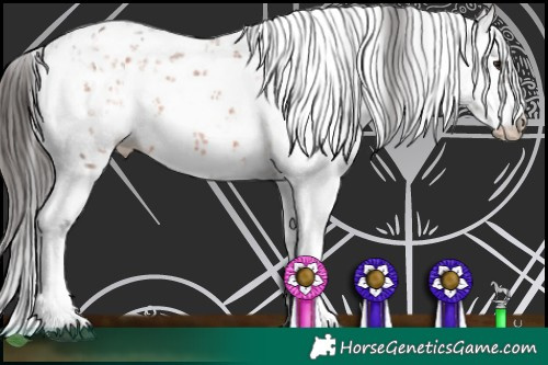 Horse Color:Brown Sabino 