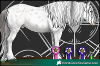 Horse Color:Brown Sabino 