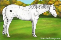 Horse Color:Silver Smoky Blue Onyx Chinchilla Roan Tobiano Appaloosa 