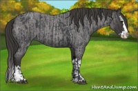 Horse Color:Blue Roan Sabino Splash  and Smoky Blue Roan Sabino Splash 
