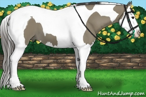 Horse Color:Smoky Grullo Splash Tobiano 