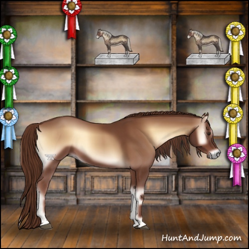 Horse Color:Red Onyx 