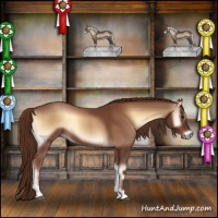 Horse Color:Red Onyx 