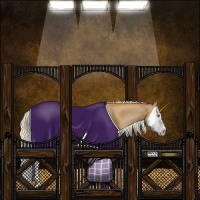 Horse Color:Silver Brown Pearl Splash 