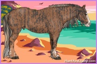 Horse Color:Blue Roan Sabino Splash  and Red Roan Sabino Splash 