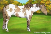 Horse Color:White Spotted Black Pearl 