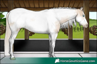 Horse Color:Chocolate Palomino Pearl Dun Tobiano Frame  and Chocolate Palomino Pearl Dun Tobiano Frame 