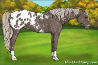 Horse Color:Silver Black Blanket 