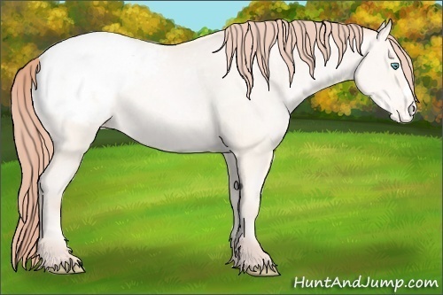 Horse Color:Classic Cream Champagne Pearl Appaloosa 