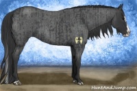 Horse Color:Blue Roan Sabino Splash  and Blue Roan Sabino Splash 