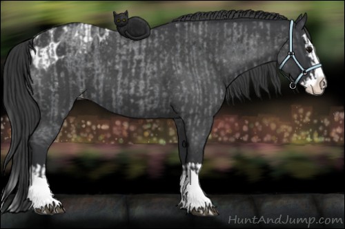 Horse Color:Blue Roan Sabino Splash  and Blue Roan Sabino Splash Blanket 