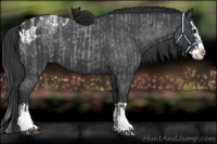 Horse Color:Blue Roan Sabino Splash and Blue Roan Sabino Splash Blanket