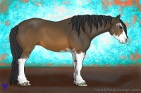 Horse Color:Brown Sabino