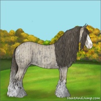 Horse Color:Smoky Blue Roan Sabino Splash  and Classic Cream Champagne Roan Sabino Splash 