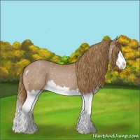 Horse Color:Chestnut Splash Snowflake Varnish 