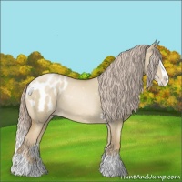 Horse Color:Chocolate Palomino Pearl Dun Splash Appaloosa 