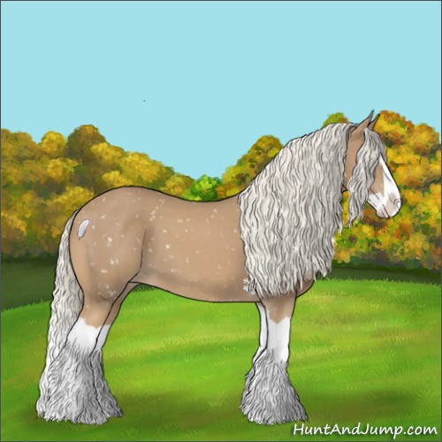 Horse Color:Palomino Splash Appaloosa 
