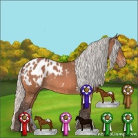 Horse Color:Silver Bay Appaloosa 