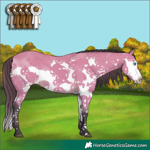 Horse Color:Buckskin Splash 