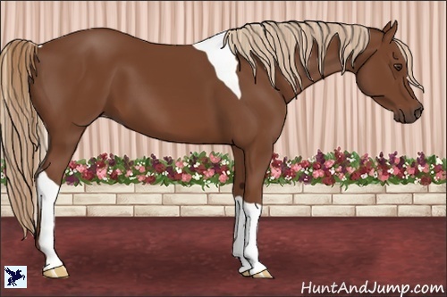 Horse Color:Chestnut Tobiano 