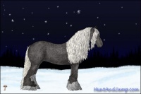 Horse Color:Liver Chestnut Mushroom 