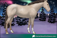 Horse Color:Classic Champagne Dun 