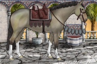 Horse Color:Smoky Grullo 