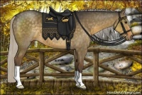 Horse Color:Silver Smoky Grullo 