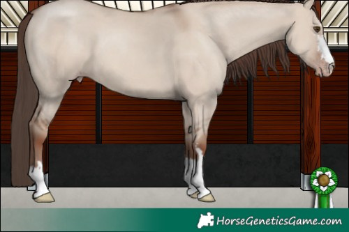 Horse Color:Classic Champagne Dun 