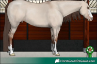 Horse Color:Classic Champagne Dun