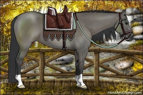 Horse Color:Grullo 