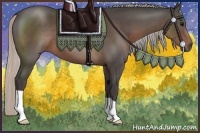 Horse Color:Silver Black 