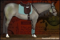 Horse Color:Smoky Grullo