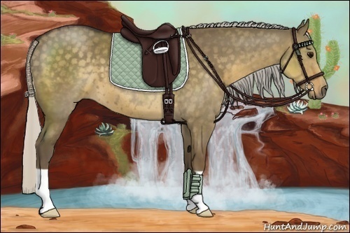 Horse Color:Silver Smoky Grullo 