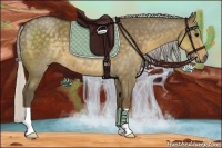 Horse Color:Silver Smoky Grullo 
