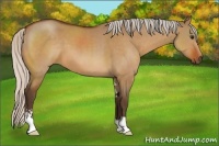 Horse Color:Silver Brown Dun Sabino 