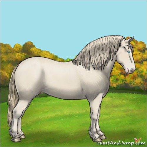 Horse Color:Smoky Creme 