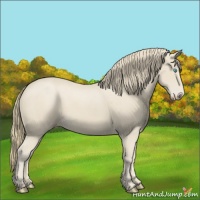 Horse Color:Smoky Creme 