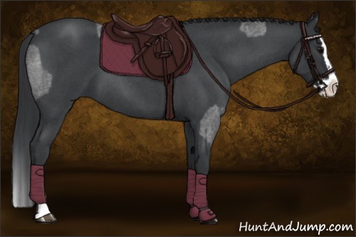 Horse Color:Blue Roan Sabino Splash and Blue Roan Sabino Splash