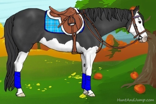 Horse Color:Black Splash