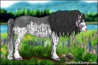 Horse Color:Blue Roan Sabino Splash and Blue Roan Sabino Splash