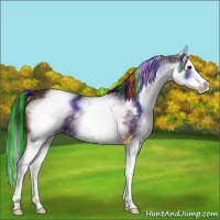 Horse Color:Painted White Spotted Brown Splash 