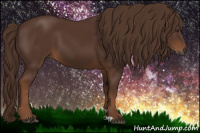 Horse Color:Gray Chestnut 