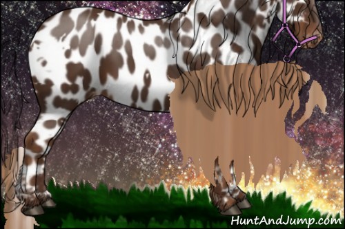 Horse Color:White Spotted Liver Chestnut Appaloosa 