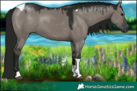 Horse Color:Gray Platinum Smoky Grullo Tobiano