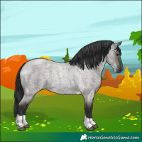 Horse Color:Grullo Roan Tobiano 