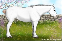 Horse Color:White Spotted Grullo Blanket 