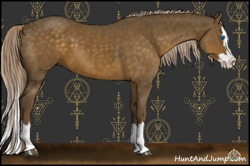 Horse Color:Chocolate Palomino Sabino Splash