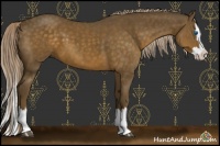 Horse Color:Chocolate Palomino Sabino Splash